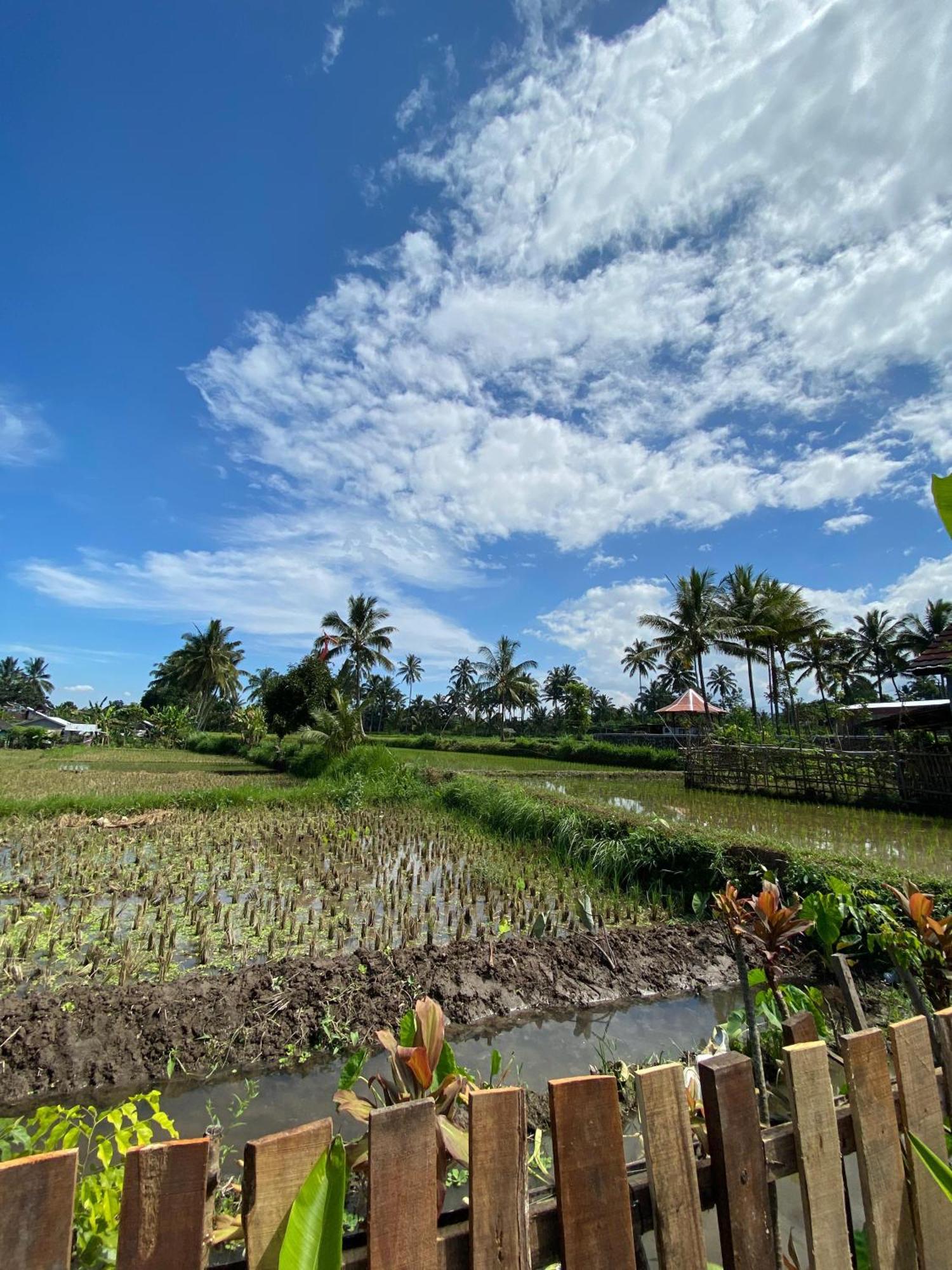 Alfarizi Homestay Tetebatu Exterior photo